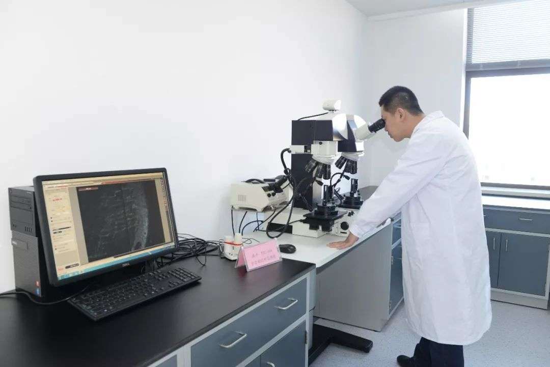 高效的实验室